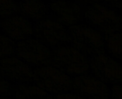 Tailored Wide-Leg Trousers