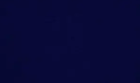 Tailored Wide-Leg Trousers